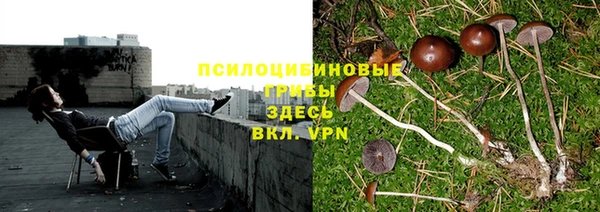 кокаин колумбия Нязепетровск