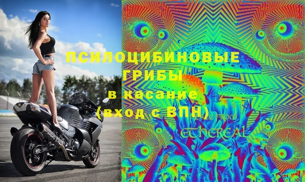 дживик Алексин