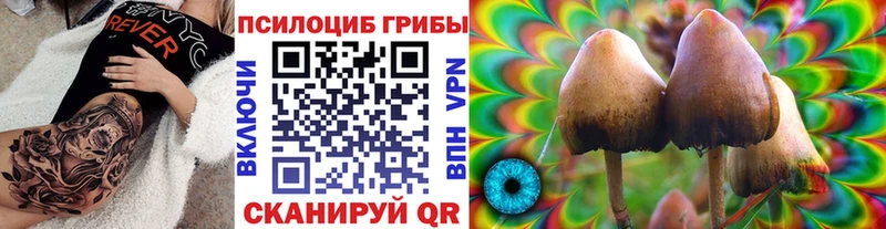 Псилоцибиновые грибы ЛСД  Апшеронск 